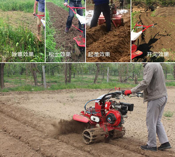 開(kāi)溝培土機(jī)在大蔥，大姜，土豆，果園中的應(yīng)用